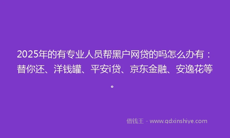 2025年的有专业人员帮黑户网贷的吗怎么办有：替你还、洋钱罐、平安i贷、京东金融、安逸花等。