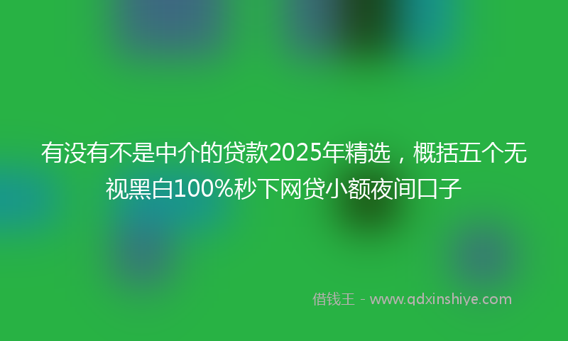有没有不是中介的贷款2025年精选，概括五个无视黑白100%秒下网贷小额夜间口子
