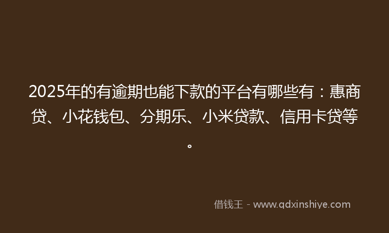 2025年的有逾期也能下款的平台有哪些有：惠商贷、小花钱包、分期乐、小米贷款、信用卡贷等。