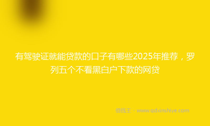 有驾驶证就能贷款的口子有哪些2025年推荐，罗列五个不看黑白户下款的网贷