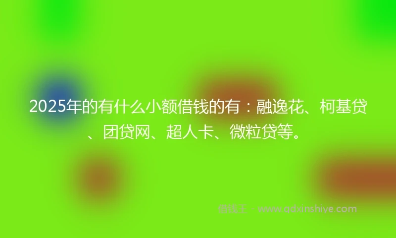 2025年的有什么小额借钱的有：融逸花、柯基贷、团贷网、超人卡、微粒贷等。