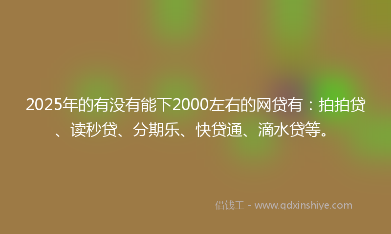 2025年的有没有能下2000左右的网贷有：拍拍贷、读秒贷、分期乐、快贷通、滴水贷等。