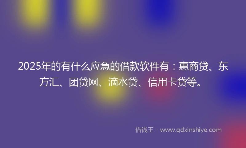 2025年的有什么应急的借款软件有：惠商贷、东方汇、团贷网、滴水贷、信用卡贷等。