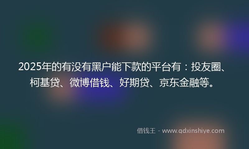 2025年的有没有黑户能下款的平台有：投友圈、柯基贷、微博借钱、好期贷、京东金融等。