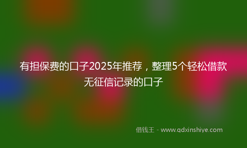 有担保费的口子2025年推荐，整理5个轻松借款无征信记录的口子