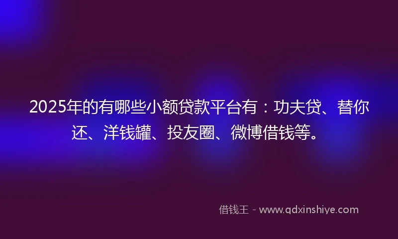 2025年的有哪些小额贷款平台有：功夫贷、替你还、洋钱罐、投友圈、微博借钱等。