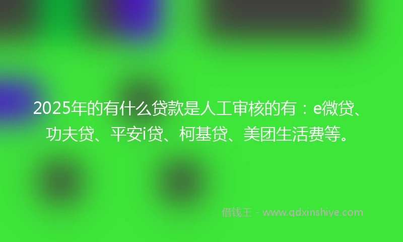 2025年的有什么贷款是人工审核的有：e微贷、功夫贷、平安i贷、柯基贷、美团生活费等。