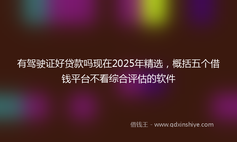 有驾驶证好贷款吗现在2025年精选，概括五个借钱平台不看综合评估的软件