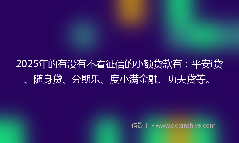 2025年的有没有不看征信的小额贷款有：平安i贷、随身贷、分期乐、度小满金融、功夫贷等。