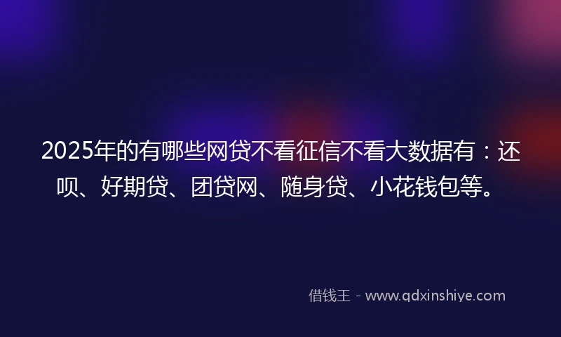 2025年的有哪些网贷不看征信不看大数据有：还呗、好期贷、团贷网、随身贷、小花钱包等。