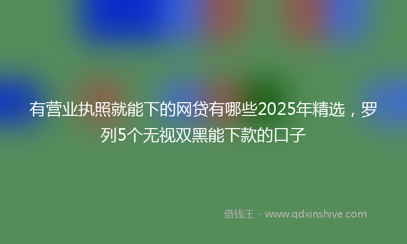 有营业执照就能下的网贷有哪些2025年精选，罗列5个无视双黑能下款的口子