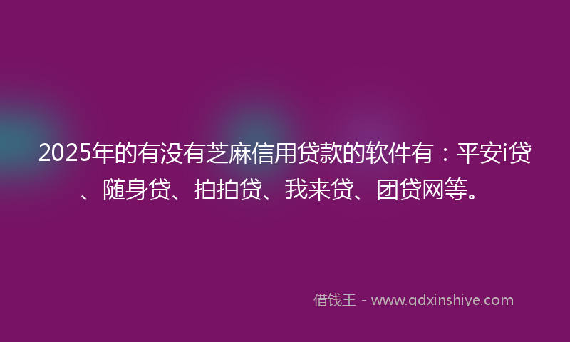 2025年的有没有芝麻信用贷款的软件有：平安i贷、随身贷、拍拍贷、我来贷、团贷网等。