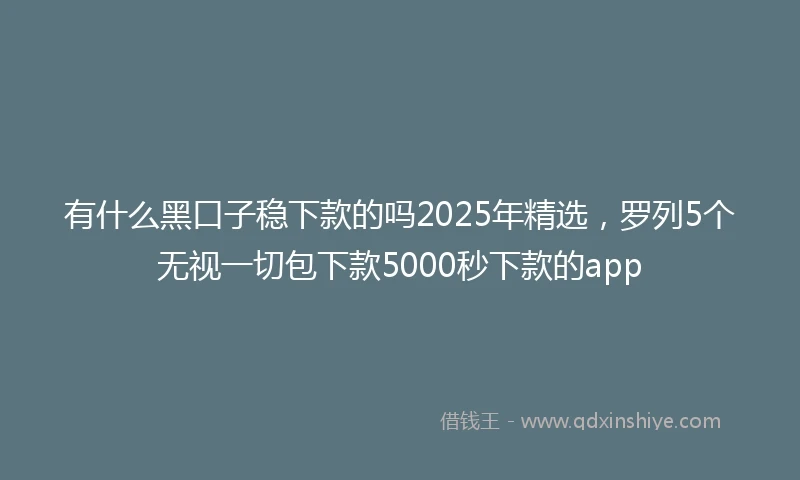 有什么黑口子稳下款的吗2025年精选，罗列5个无视一切包下款5000秒下款的app