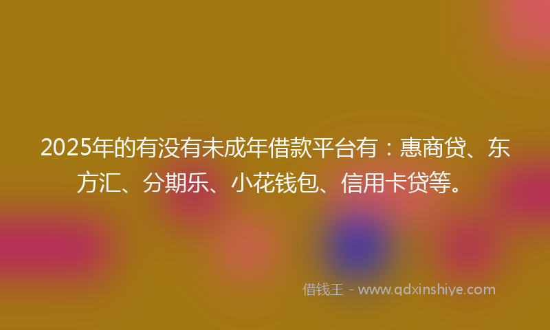 2025年的有没有未成年借款平台有：惠商贷、东方汇、分期乐、小花钱包、信用卡贷等。