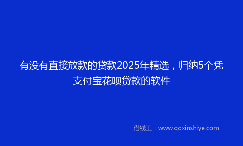 有没有直接放款的贷款2025年精选，归纳5个凭支付宝花呗贷款的软件