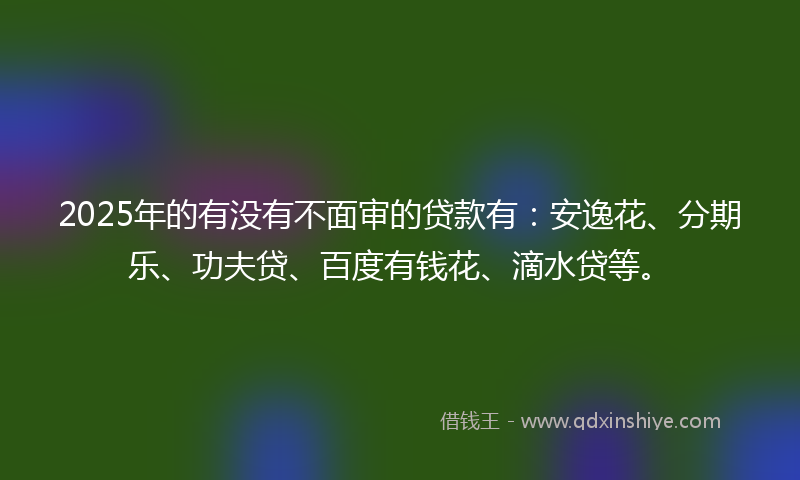 2025年的有没有不面审的贷款有：安逸花、分期乐、功夫贷、百度有钱花、滴水贷等。