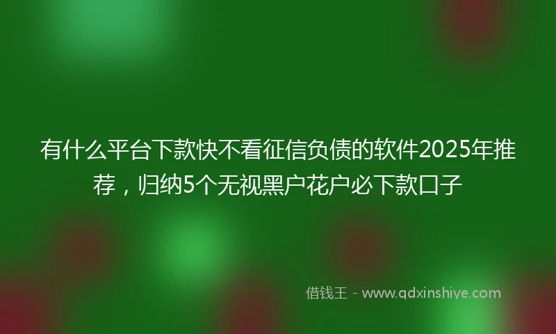 有什么平台下款快不看征信负债的软件2025年推荐，归纳5个无视黑户花户必下款口子