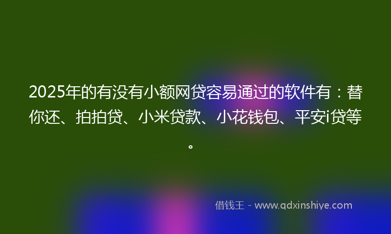 2025年的有没有小额网贷容易通过的软件有：替你还、拍拍贷、小米贷款、小花钱包、平安i贷等。