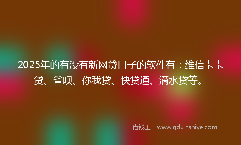 2025年的有没有新网贷口子的软件有：维信卡卡贷、省呗、你我贷、快贷通、滴水贷等。