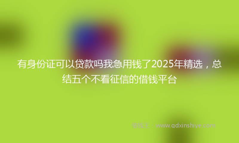 有身份证可以贷款吗我急用钱了2025年精选，总结五个不看征信的借钱平台