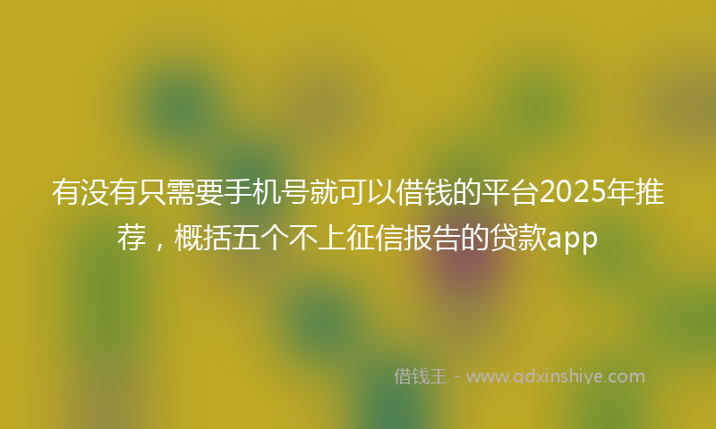 有没有只需要手机号就可以借钱的平台2025年推荐，概括五个不上征信报告的贷款app
