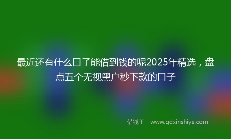 最近还有什么口子能借到钱的呢2025年精选,盘点五个无视黑户秒下款的口子