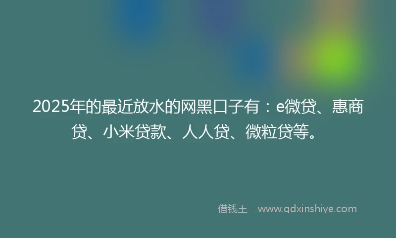2025年的最近放水的网黑口子有：e微贷、惠商贷、小米贷款、人人贷、微粒贷等。