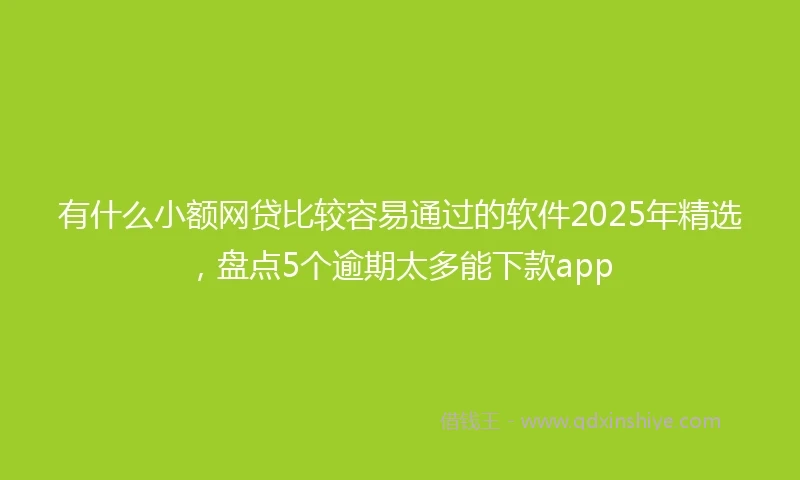有什么小额网贷比较容易通过的软件2025年精选，盘点5个逾期太多能下款app
