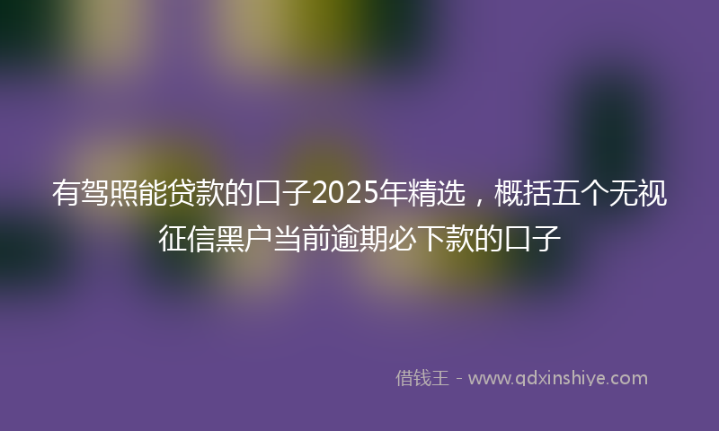 有驾照能贷款的口子2025年精选，概括五个无视征信黑户当前逾期必下款的口子