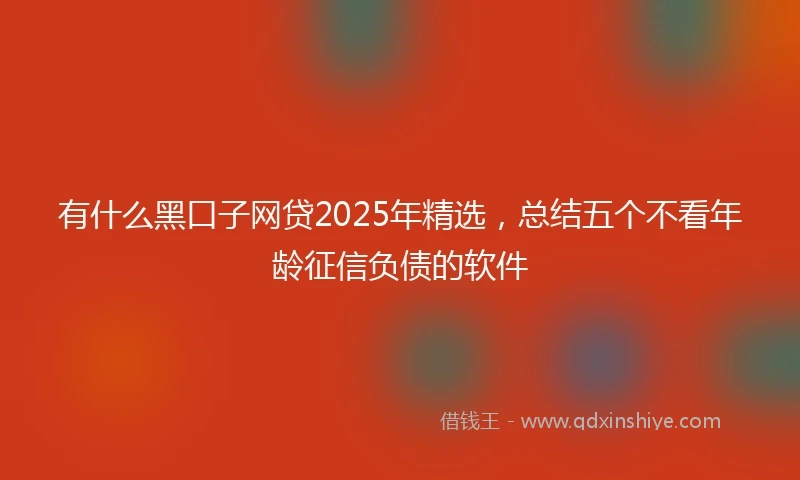 有什么黑口子网贷2025年精选，总结五个不看年龄征信负债的软件