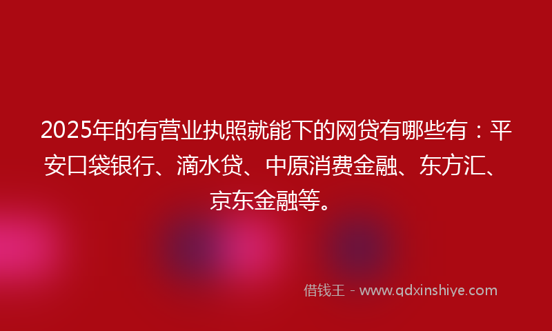 2025年的有营业执照就能下的网贷有哪些有：平安口袋银行、滴水贷、中原消费金融、东方汇、京东金融等。