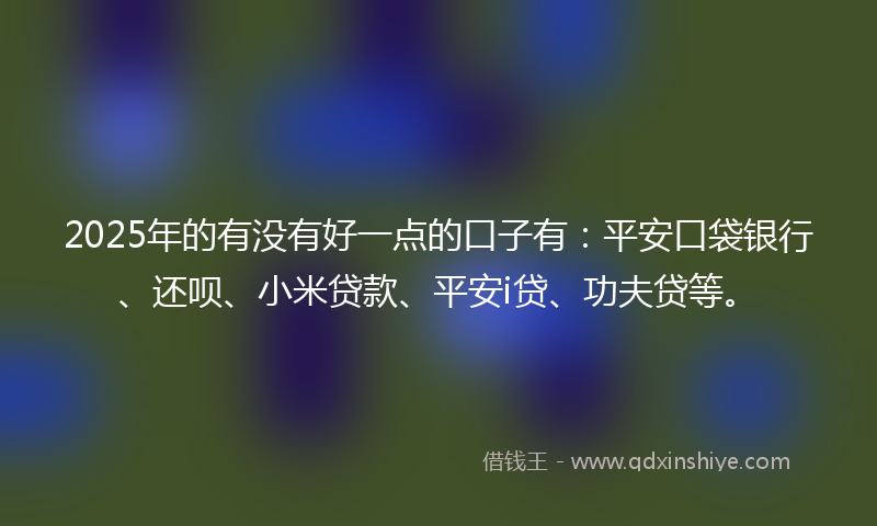 2025年的有没有好一点的口子有：平安口袋银行、还呗、小米贷款、平安i贷、功夫贷等。