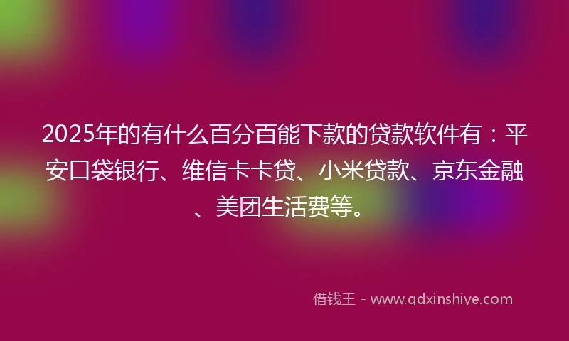 2025年的有什么百分百能下款的贷款软件有：平安口袋银行、维信卡卡贷、小米贷款、京东金融、美团生活费等。