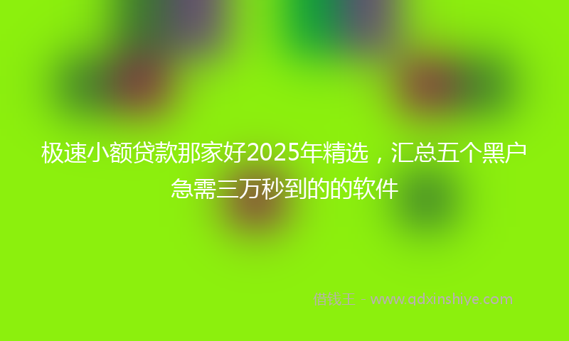 极速小额贷款那家好2025年精选，汇总五个黑户急需三万秒到的的软件