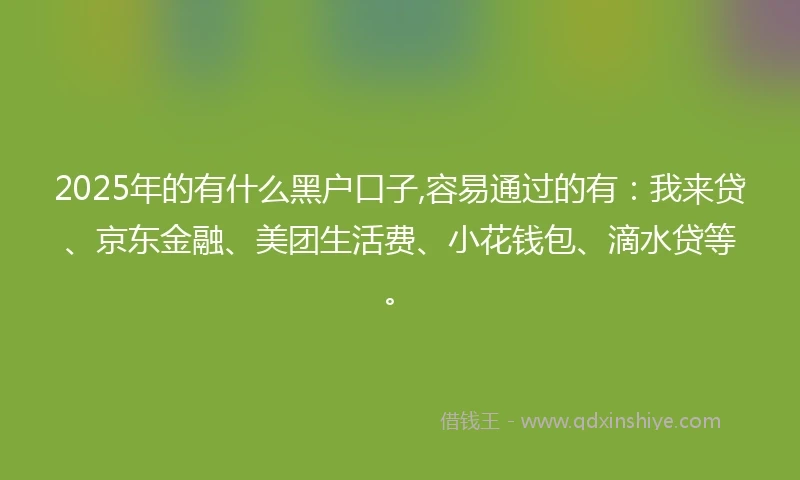 2025年的有什么黑户口子,容易通过的有：我来贷、京东金融、美团生活费、小花钱包、滴水贷等。