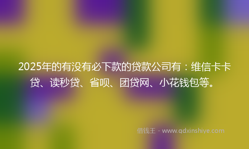 2025年的有没有必下款的贷款公司有：维信卡卡贷、读秒贷、省呗、团贷网、小花钱包等。