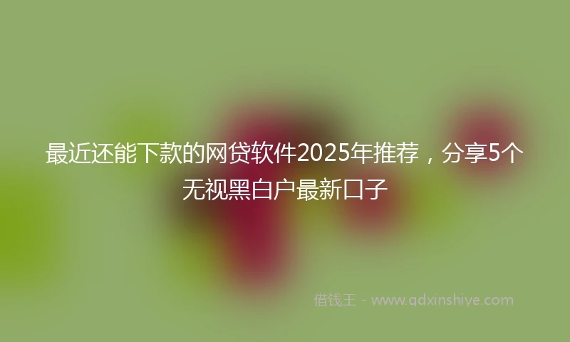 最近还能下款的网贷软件2025年推荐，分享5个无视黑白户最新口子