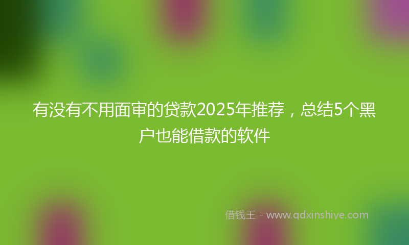 有没有不用面审的贷款2025年推荐，总结5个黑户也能借款的软件