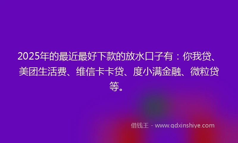 2025年的最近最好下款的放水口子有：你我贷、美团生活费、维信卡卡贷、度小满金融、微粒贷等。