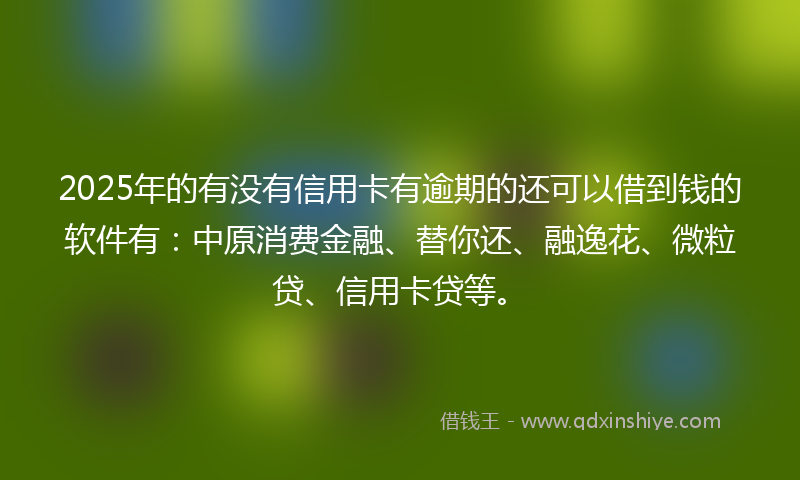 2025年的有没有信用卡有逾期的还可以借到钱的软件有：中原消费金融、替你还、融逸花、微粒贷、信用卡贷等。