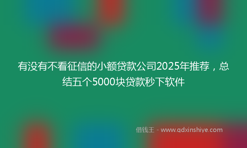 有没有不看征信的小额贷款公司2025年推荐，总结五个5000块贷款秒下软件