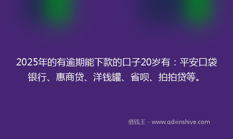 2025年的有逾期能下款的口子20岁有：平安口袋银行、惠商贷、洋钱罐、省呗、拍拍贷等。