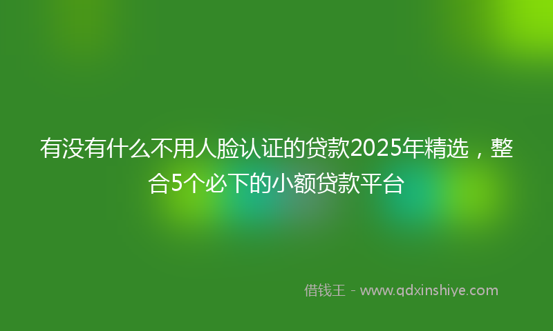 有没有什么不用人脸认证的贷款2025年精选，整合5个必下的小额贷款平台