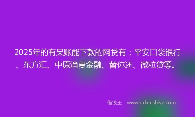 2025年的有呆账能下款的网贷有：平安口袋银行、东方汇、中原消费金融、替你还、微粒贷等。