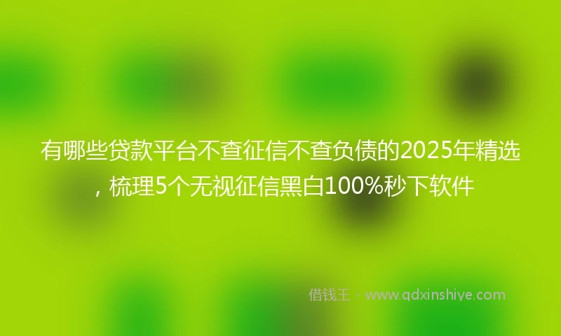 有哪些贷款平台不查征信不查负债的2025年精选，梳理5个无视征信黑白100%秒下软件