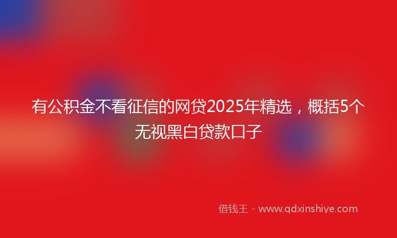 有公积金不看征信的网贷2025年精选，概括5个无视黑白贷款口子