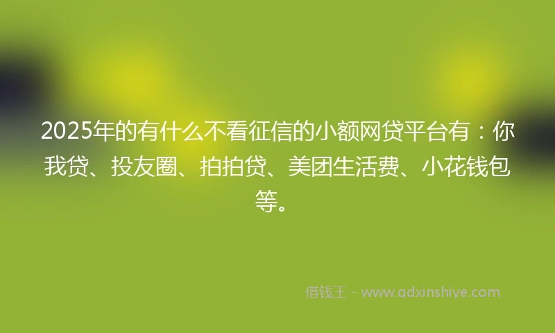 2025年的有什么不看征信的小额网贷平台有:你我贷、投友圈、拍拍贷、美团生活费、小花钱包等。