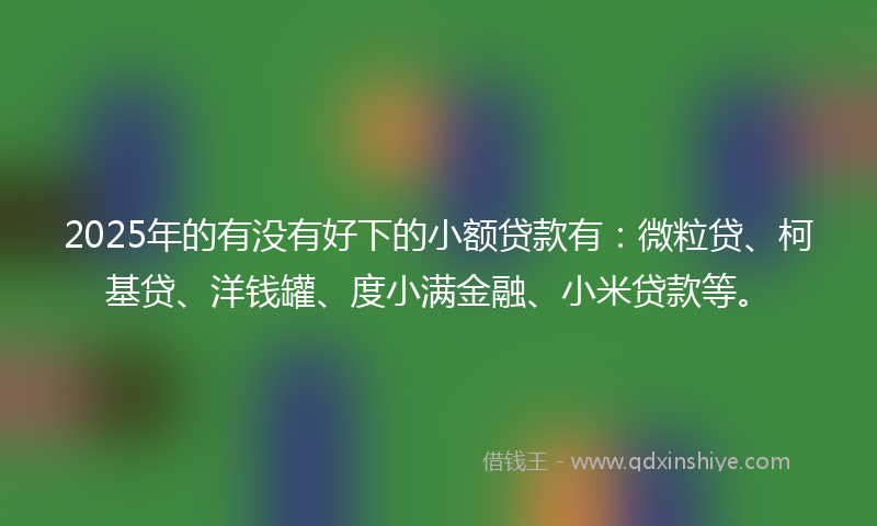 2025年的有没有好下的小额贷款有：微粒贷、柯基贷、洋钱罐、度小满金融、小米贷款等。