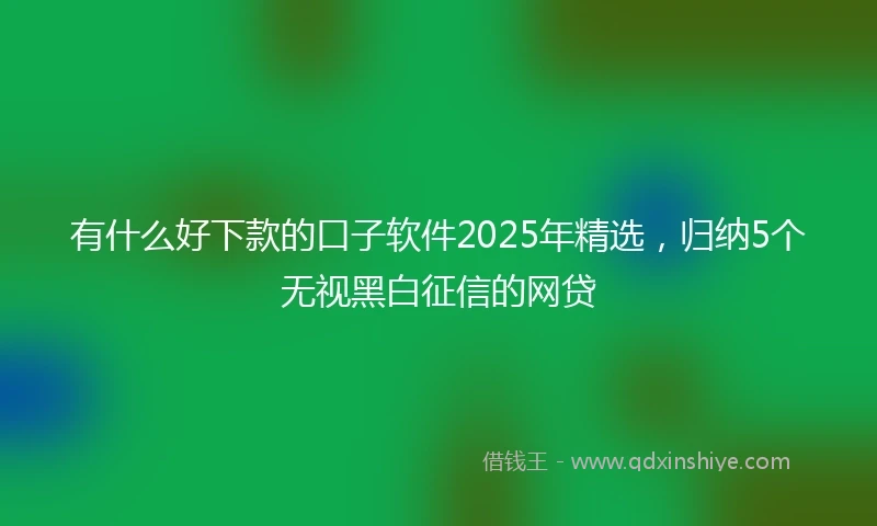 有什么好下款的口子软件2025年精选，归纳5个无视黑白征信的网贷
