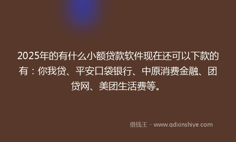2025年的有什么小额贷款软件现在还可以下款的有：你我贷、平安口袋银行、中原消费金融、团贷网、美团生活费等。
